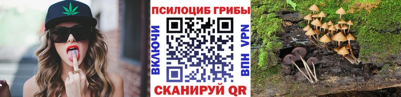 это наркотические препараты  Сычёвка  Псилоцибиновые грибы ЛСД 